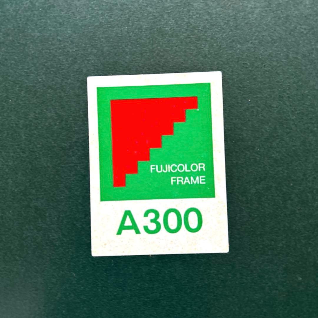 富士アルミ写真額全紙