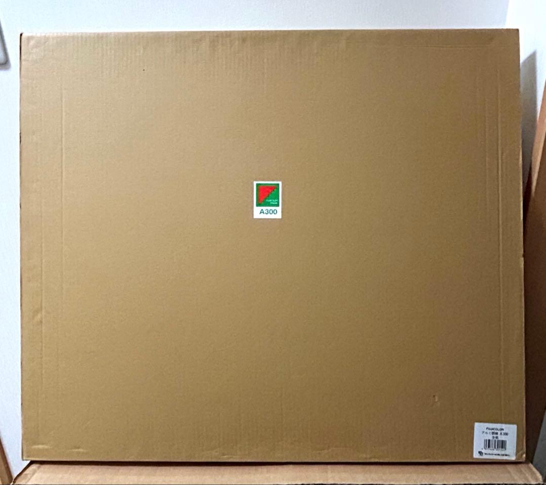 富士アルミ写真額全紙