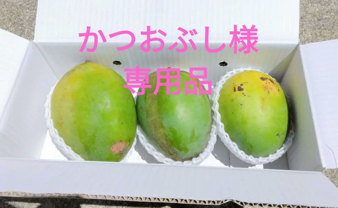 専用品沖縄県豊見城市産訳ありマンゴー約5キロ