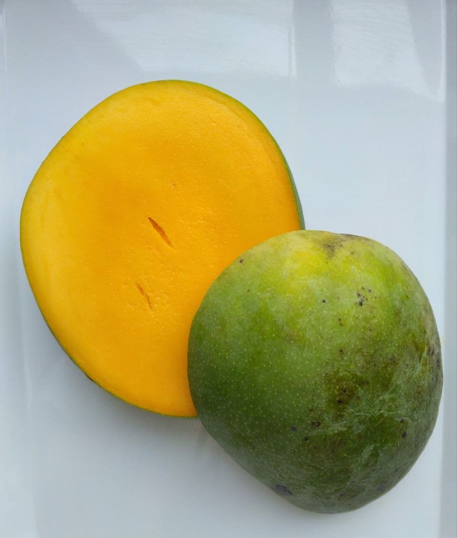 専用品沖縄県豊見城市産訳ありマンゴー約5キロ