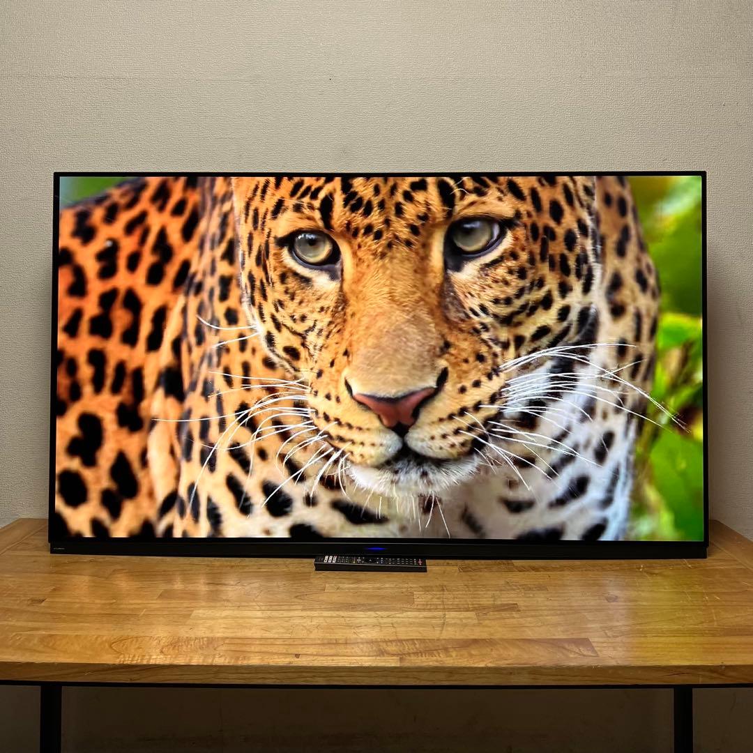 FUNAI 65V型 4K 有機ELテレビ FE-65U7030 動画アプリ搭載