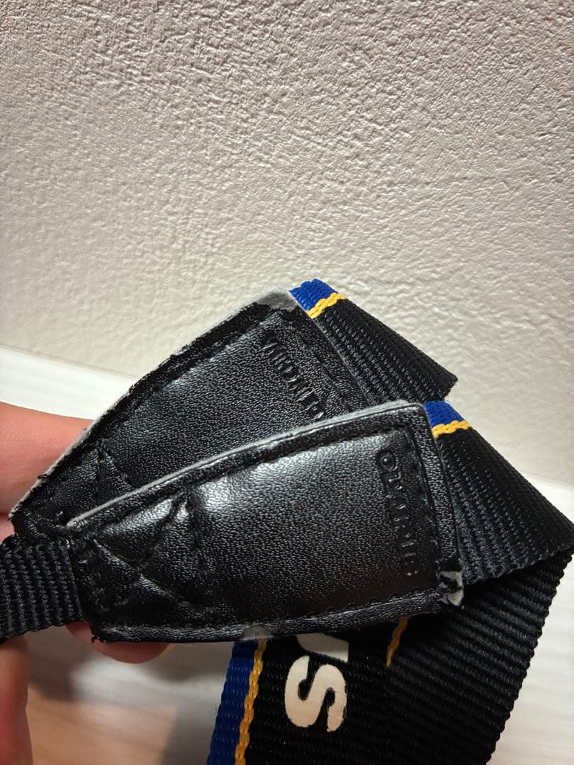 OLYMPUS OM-D E-M10 Mark II ダブルズームキット