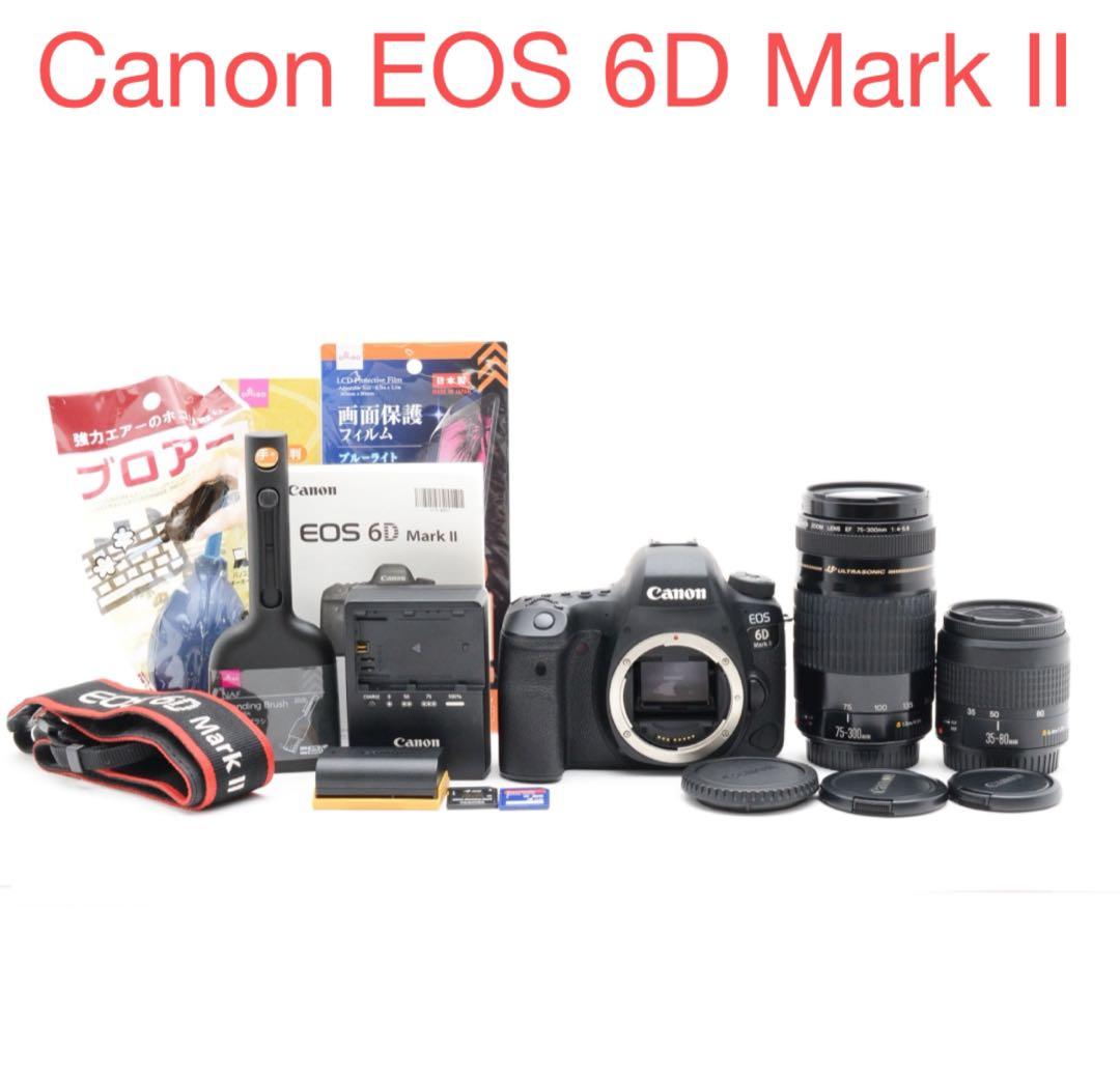 保証付き/Canon EOS 6D Mark II標準&望遠ダブルレンズセット