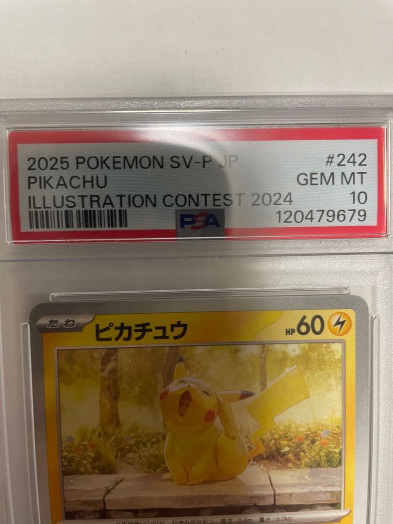 ピカチュウpsa10 173/165 242/SV-P
