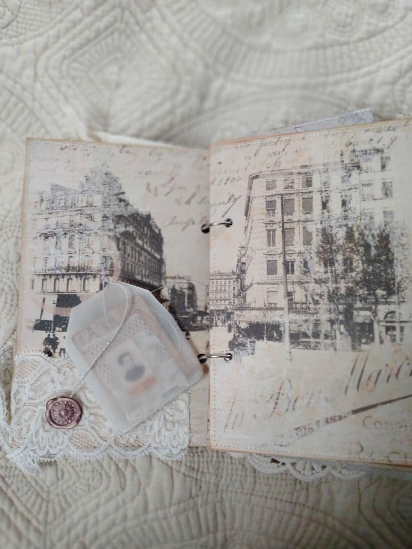 ジャンクジャーナル Lady Memoir