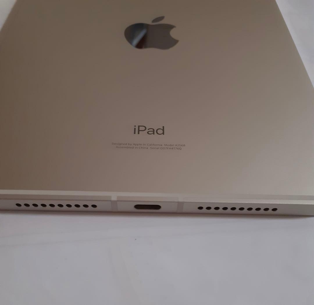 【買い得品】iPadmini6第六世代 256GB Wi-Fi＋セルラー