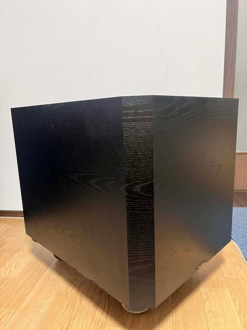 Paradigm ps1000( 珍しい商品)動作確認済み