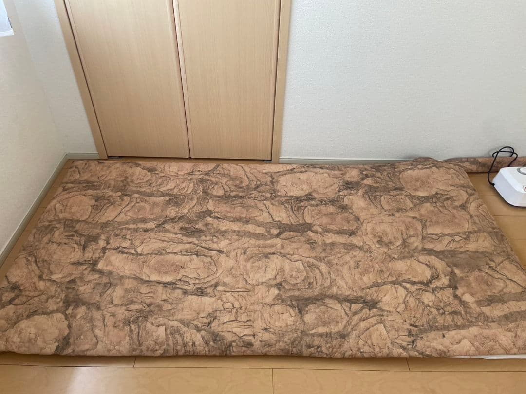 Christmasセール♪TELUSGIZER Refine 美容機器寝るだけ◎