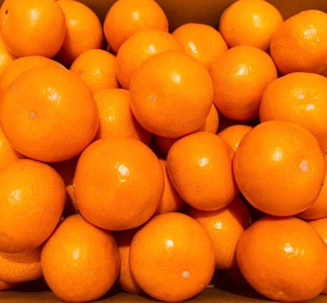 2)数量限定　甘すぎる　有田みかん　果物 　みかん　小玉　旬