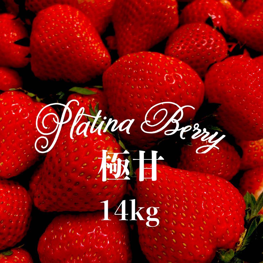 冷凍いちご14kg