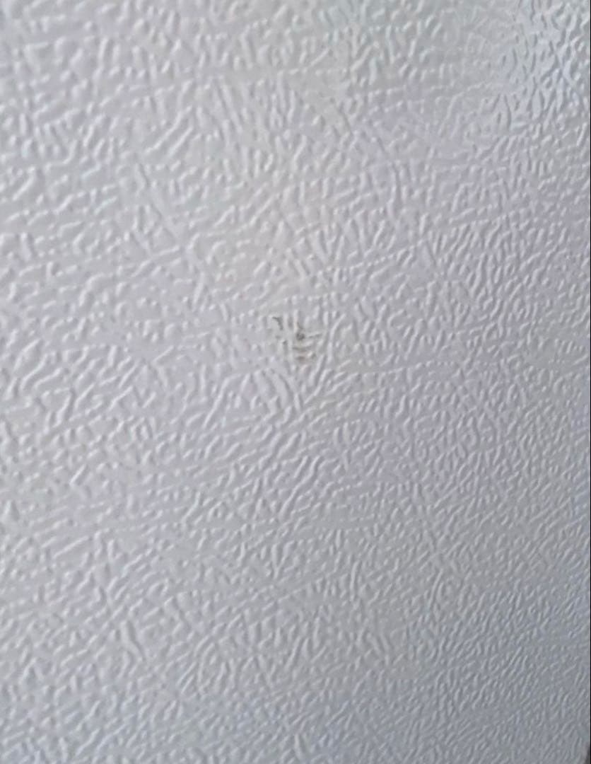 SHARP ノンフロン　冷凍冷蔵庫　SJ-D14E-S 2019年製　137L