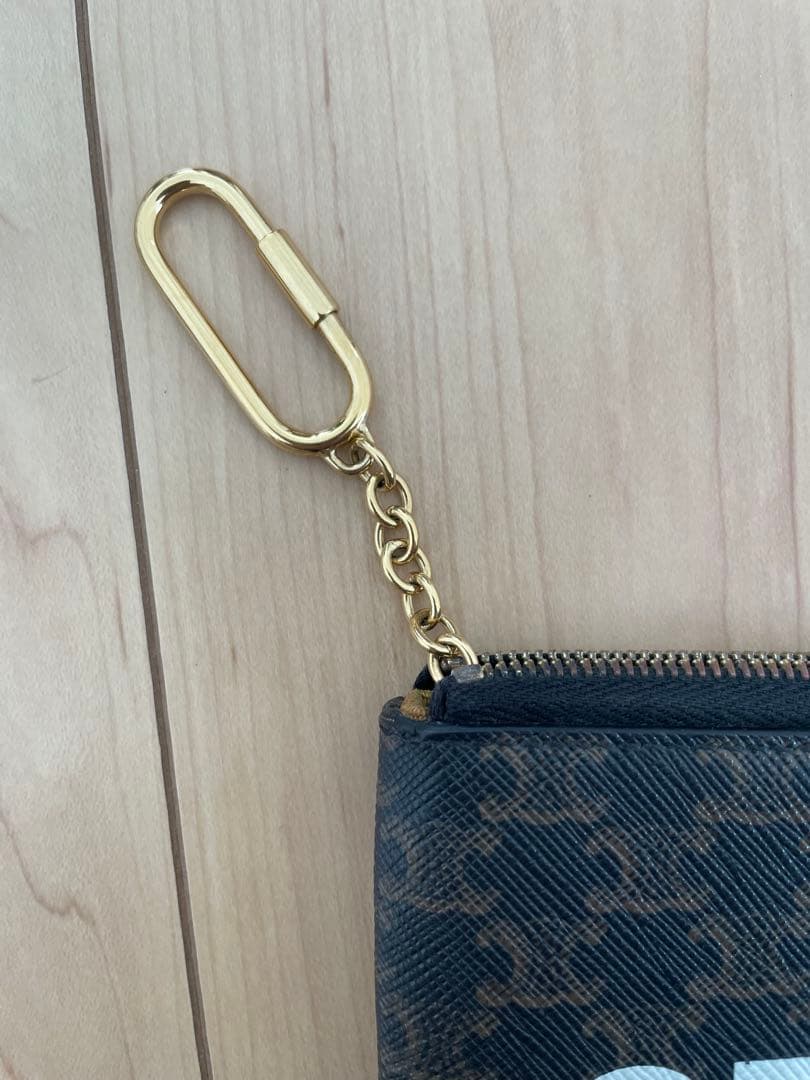 CELINE ロゴ入り ケース　セリーヌ　トリオンフ