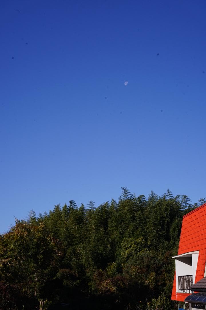 【美品】 リコー RICOH XR RIKENON 50mm F2 初期型