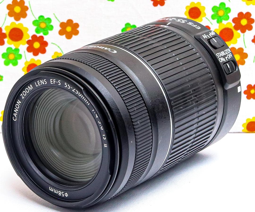 キャノン Canon EF-S 55-250mm IS Ⅱ☆手振れ補正付☆美品