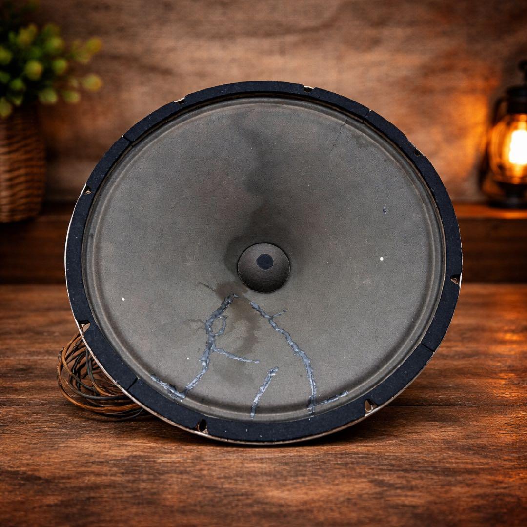 希少 5200Ω フィールドコイルスピーカー 励磁型 ヴィンテージ ラジオ用