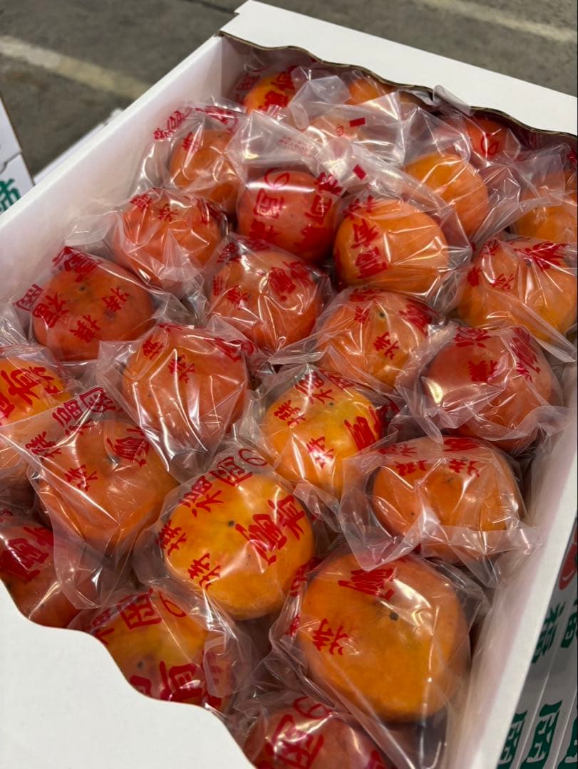 富有柿(冷蔵柿) 4箱　L〜2Sサイズ5k箱　福岡県産