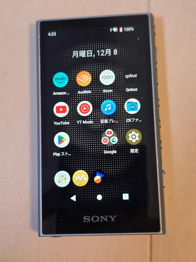 ソニー　ウォークマン NW-A306　32GB