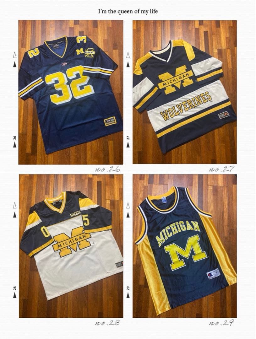 【赤字！激安価格】Michigan ミシガン14点セット