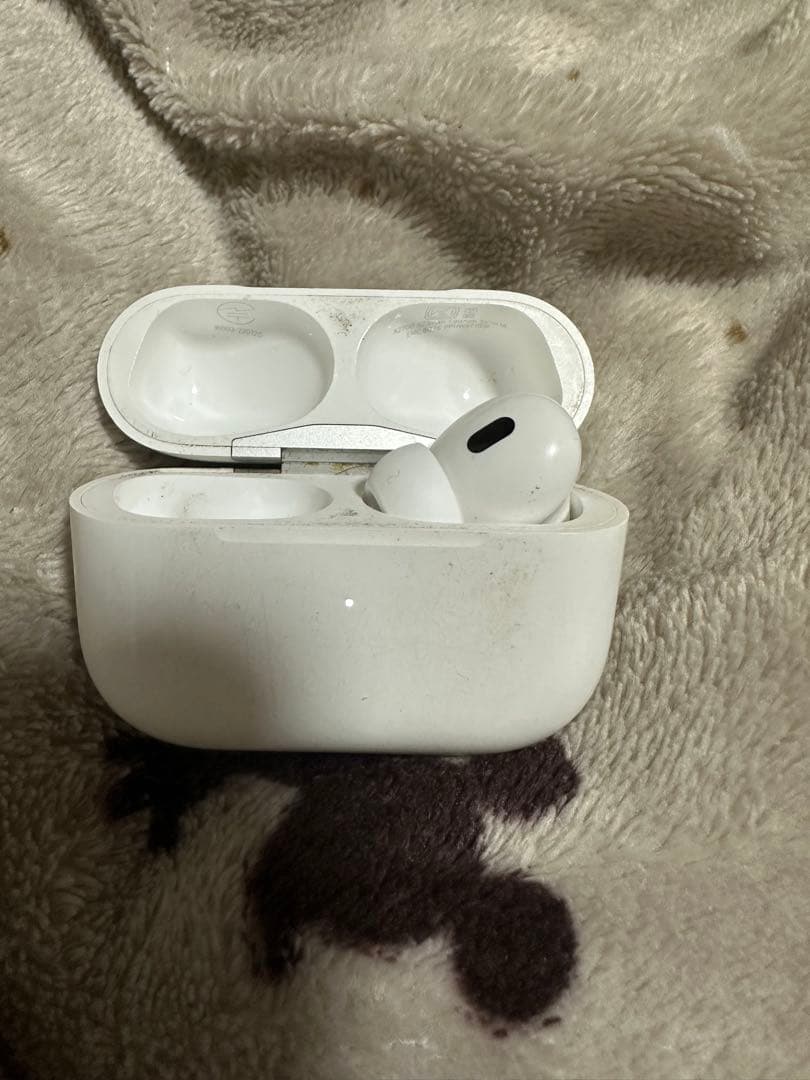 Apple AirPods Pro2ライトニング