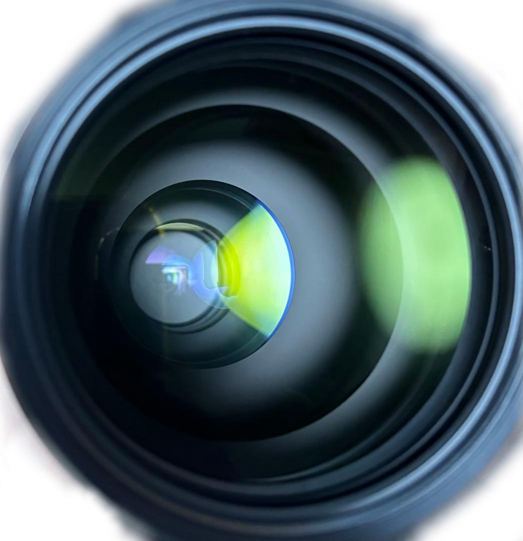 レンズ(ズーム) SONY FE 200-600mm F5.6-6.3