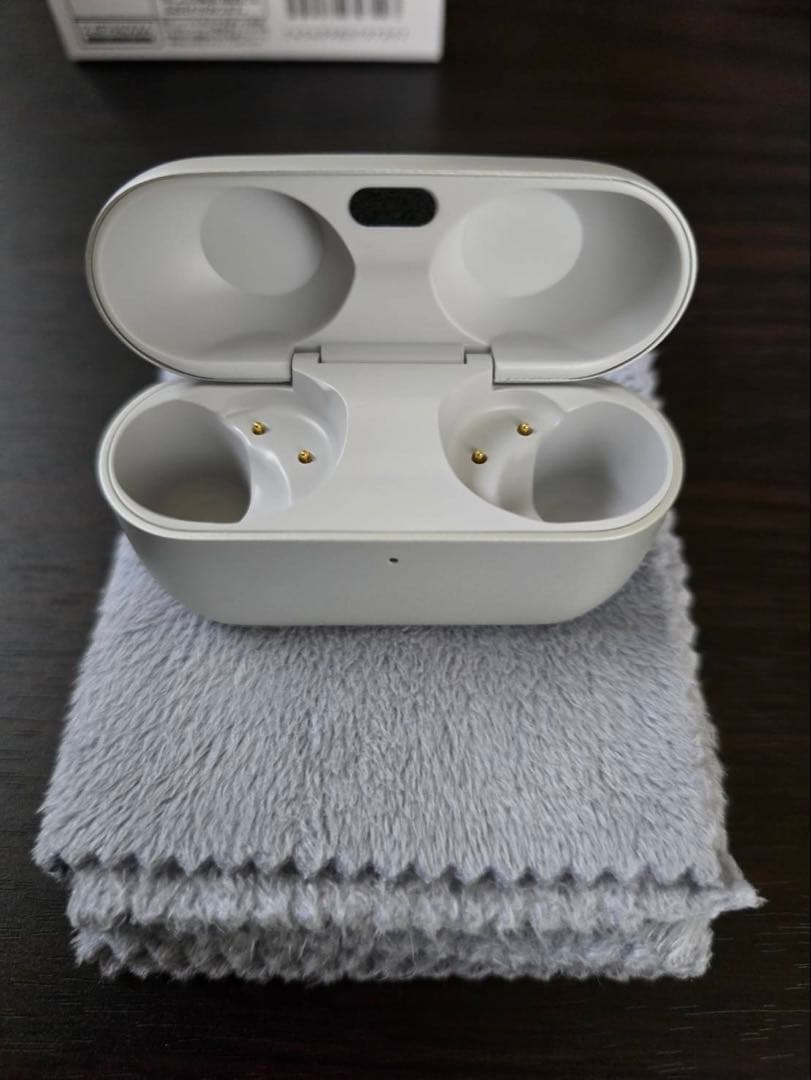 Technics テクニクス ワイヤレスイヤホン EAH-AZ100 シルバー