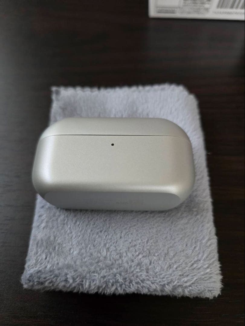 Technics テクニクス ワイヤレスイヤホン EAH-AZ100 シルバー