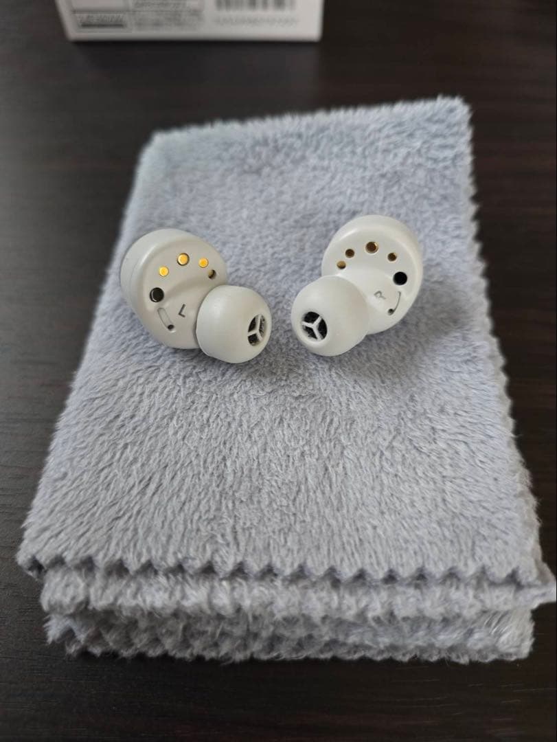 Technics テクニクス ワイヤレスイヤホン EAH-AZ100 シルバー