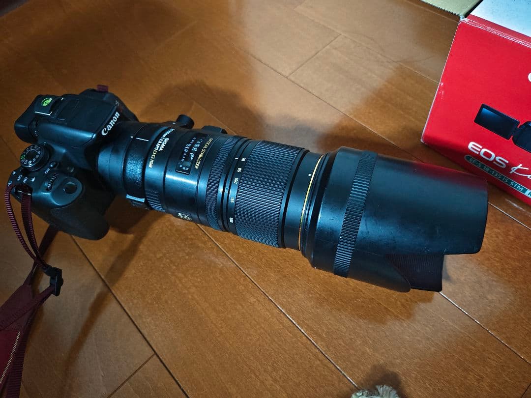 ミ*ー様 SIGMA 70-200mm 1:2.8 APO DG HSM OS