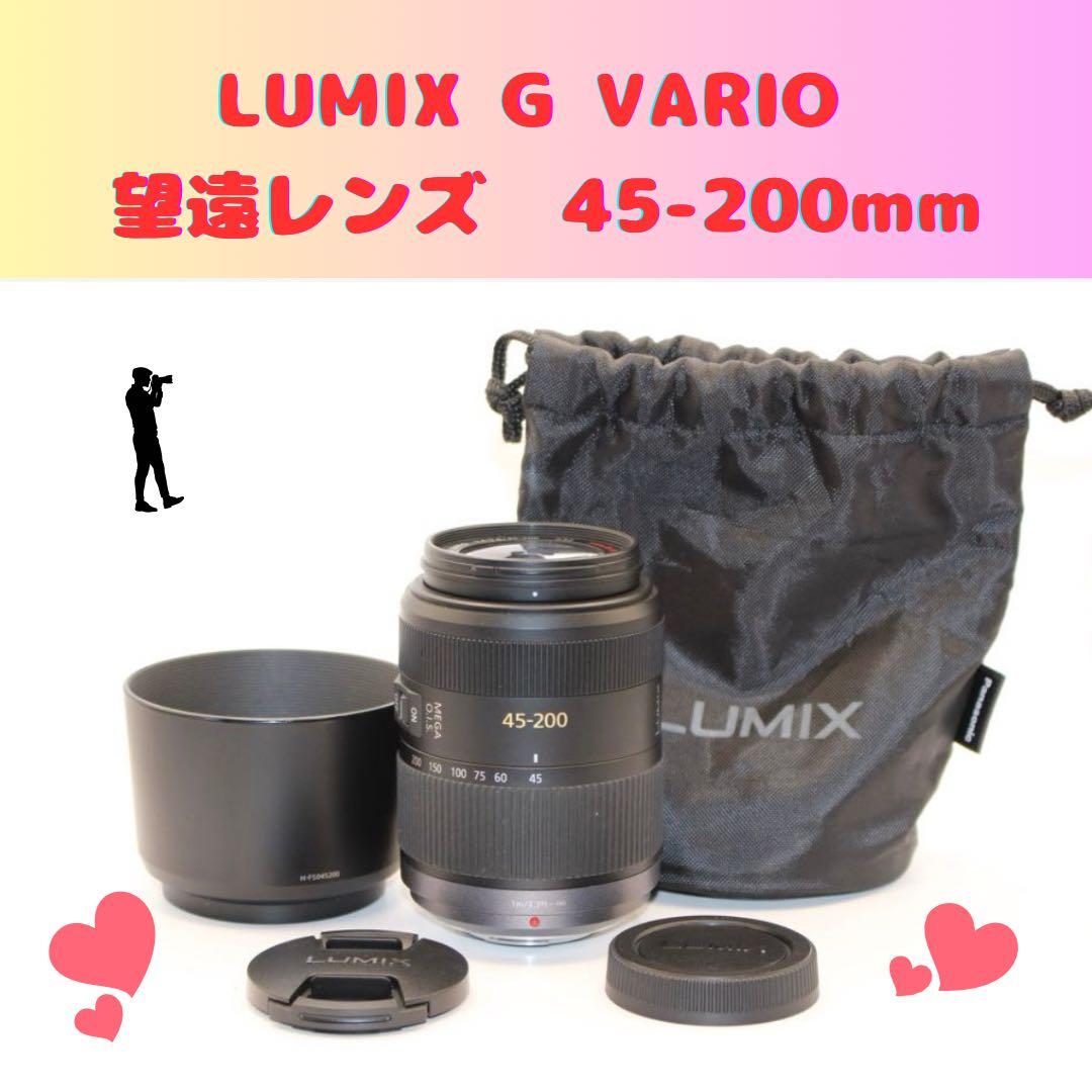 ぷに*様★純正収納袋★お買い得★ LUMIX 45-200mm 望遠レンズ