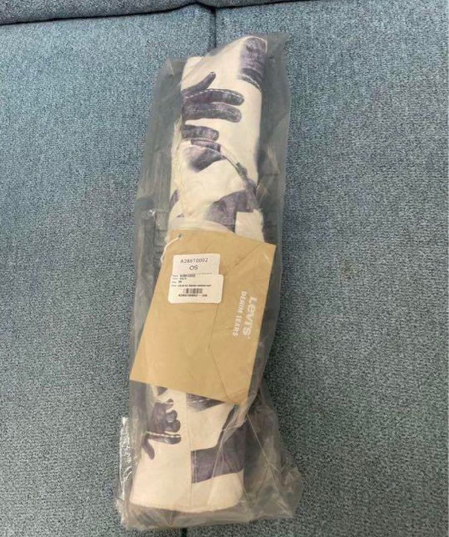 [稀少]Levi's×DenimTearsコラボ Plantation hat