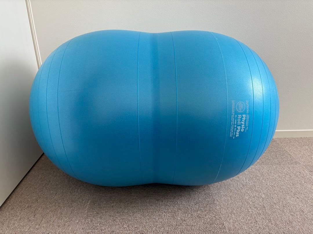 青 Physio Roll Plus バランスボール