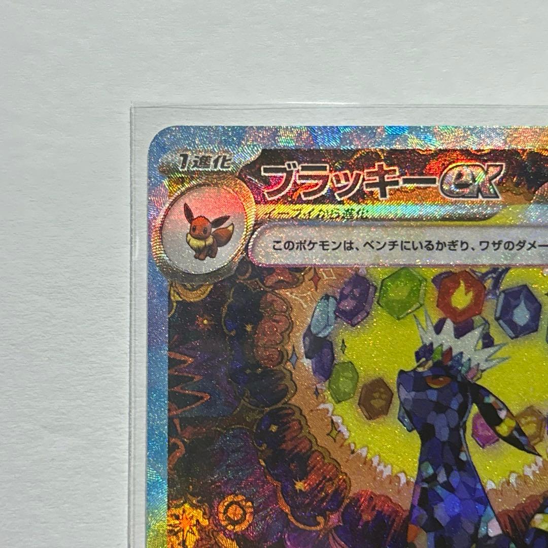 た*ー様 テラスタルフェスex ブイズ まとめ売り