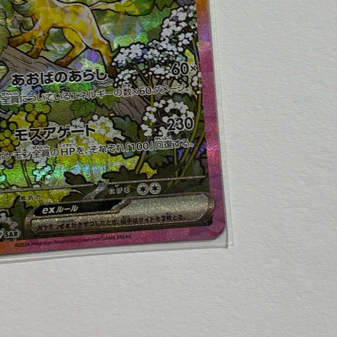 た*ー様 テラスタルフェスex ブイズ まとめ売り