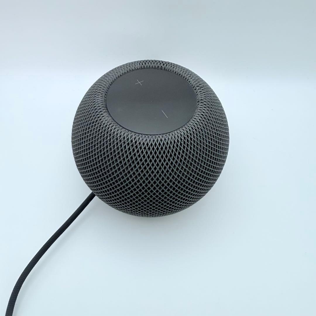 Apple Pod mini スペースグレー 本体