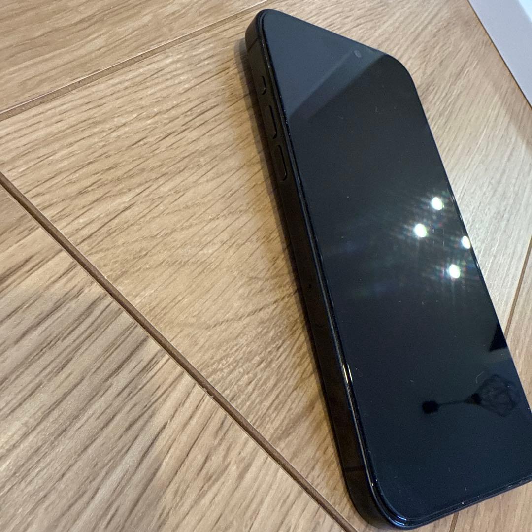 美品　iPhone 15 pro max (バッテリー容量91%)