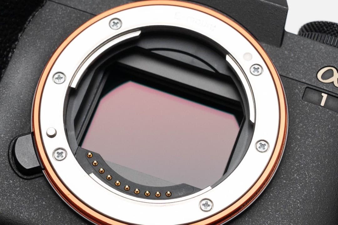 SONY α1 ILCE-1 ショット数7631枚