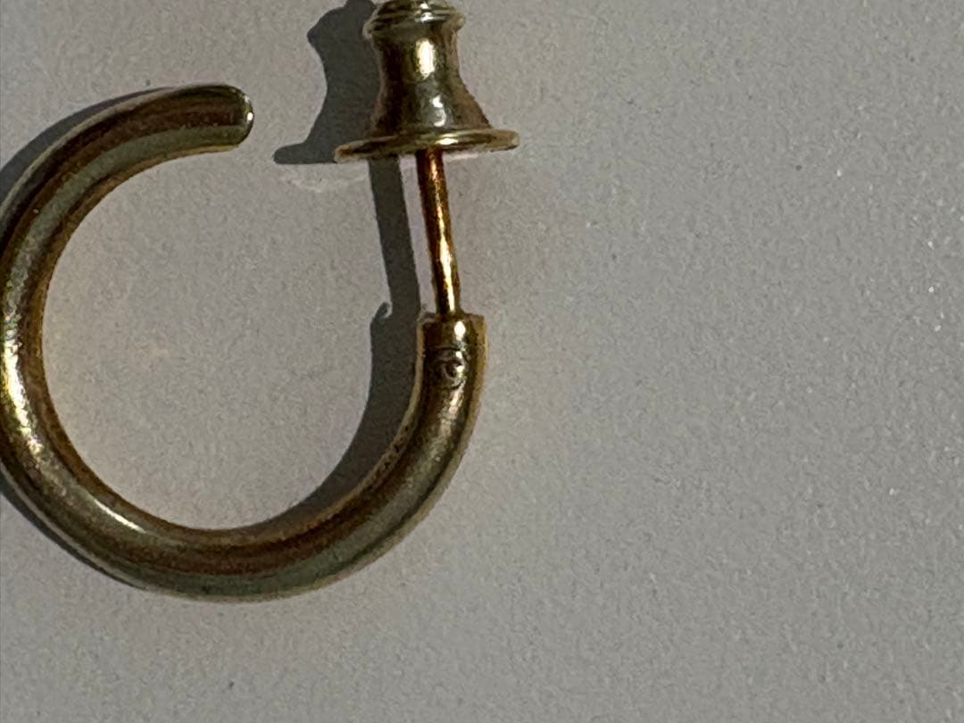 careering 301 ピアス