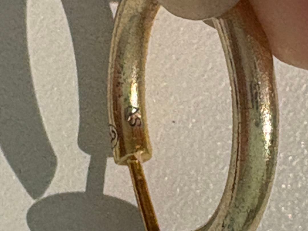 careering 301 ピアス