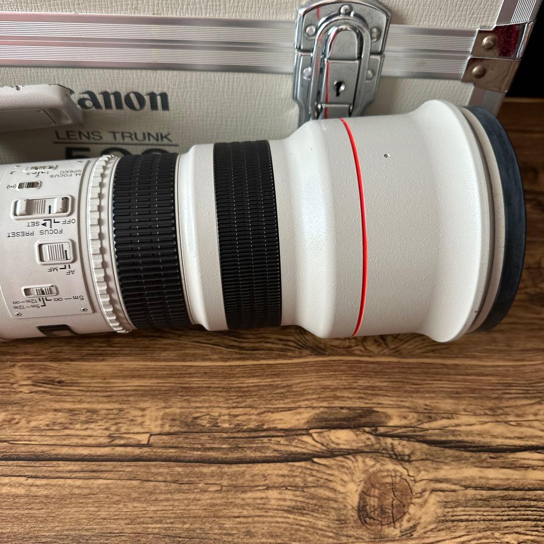 ⭐️希少銘玉良品⭐️Canon EF500mm f4.5L USM 大ボケ
