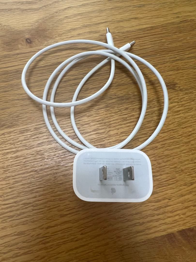 iPadPro11インチ 第1世代 256GB Wi-Fi+Cellular