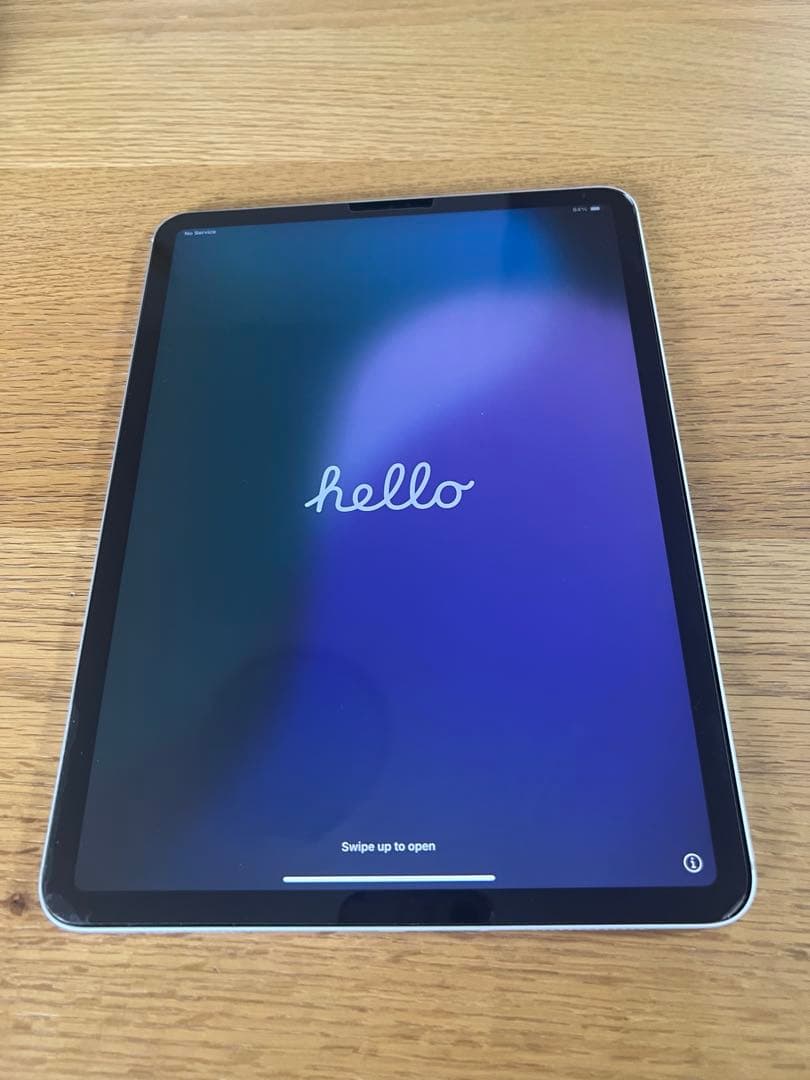 iPadPro11インチ 第1世代 256GB Wi-Fi+Cellular