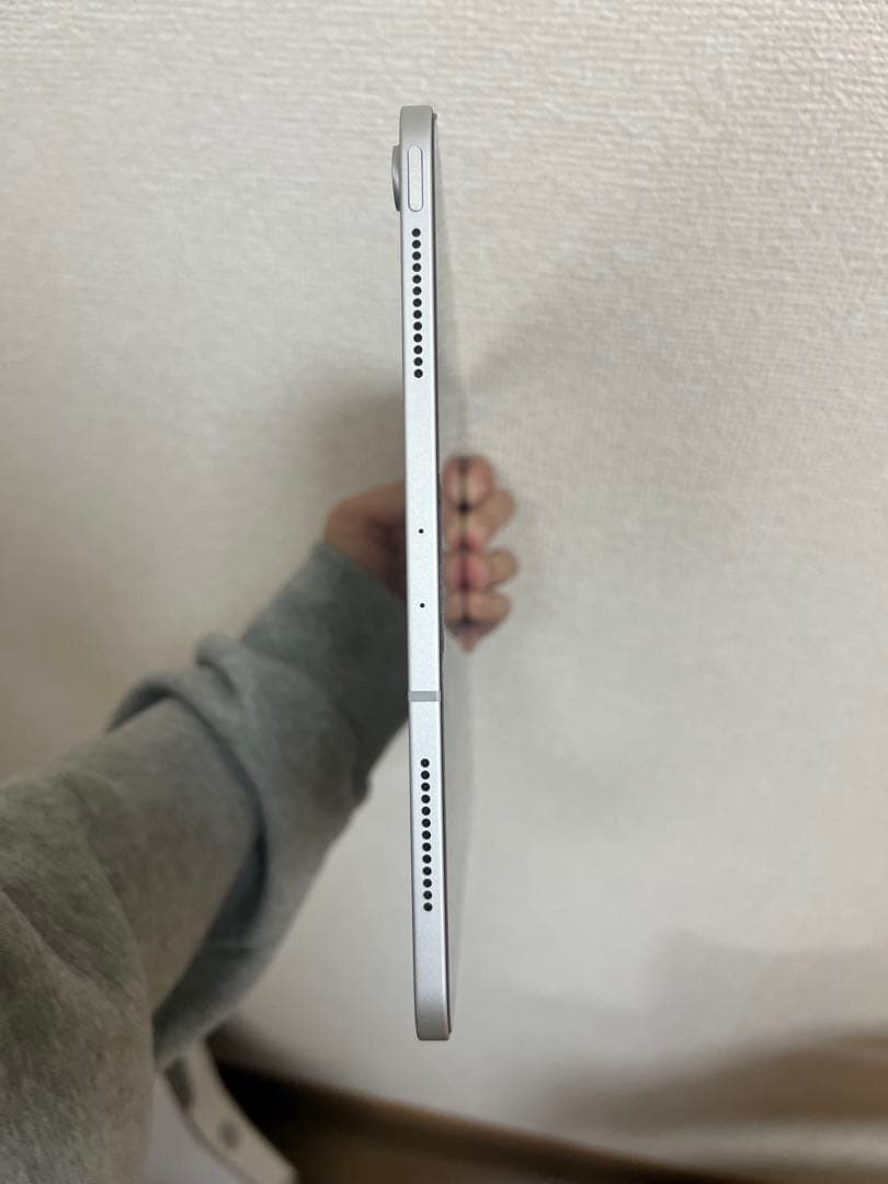 iPadPro11インチ 第1世代 256GB Wi-Fi+Cellular