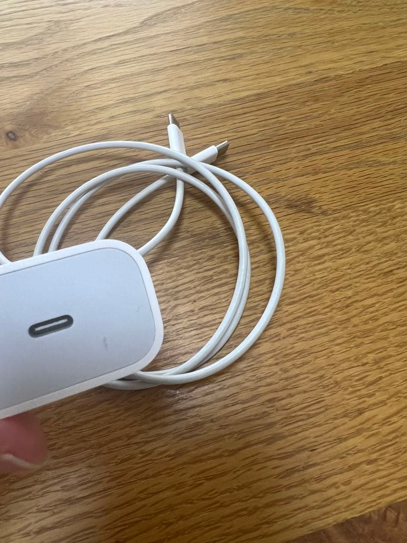 iPadPro11インチ 第1世代 256GB Wi-Fi+Cellular