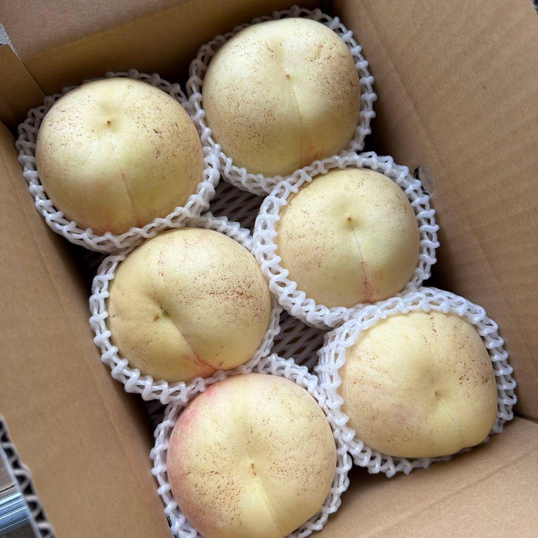 超プレミアム！！糖度20度以上ももちゃん果樹園の桃　幻の桃　CX 2キロ箱！！