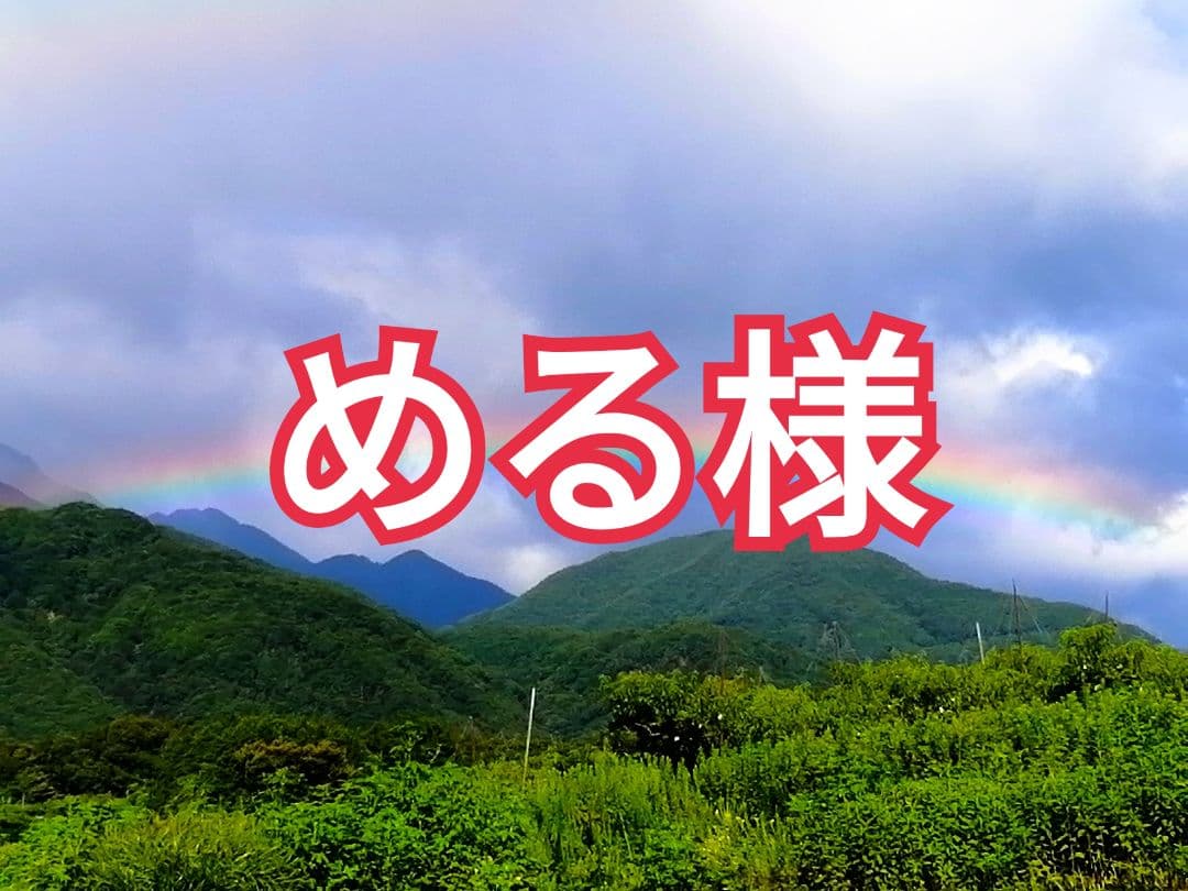 める様　　柔らか枯露柿　大和百目柿　平核無柿　干し柿・あんぽ柿　6kg