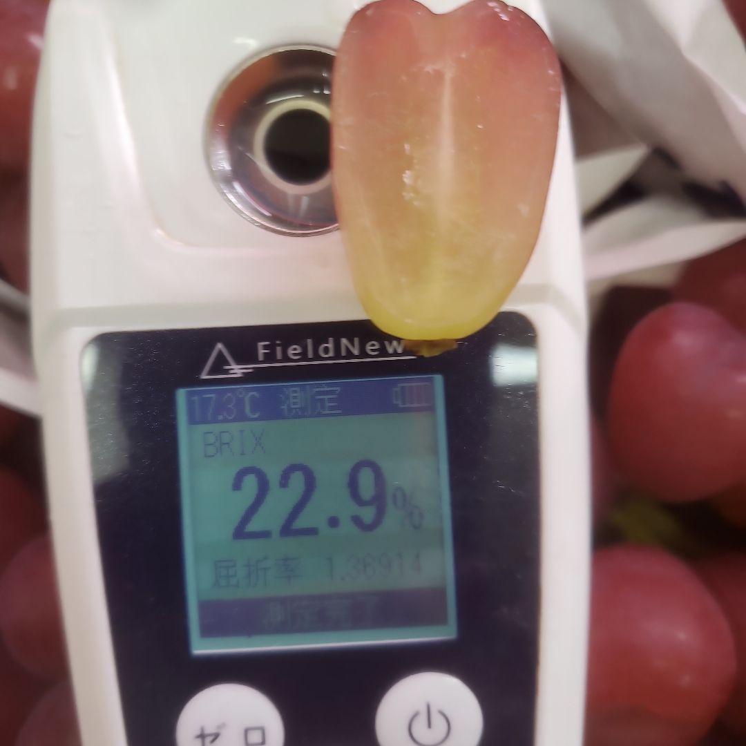 1⃣0️⃣山梨県産 マイハート ９房入り 箱込み5.7キロ