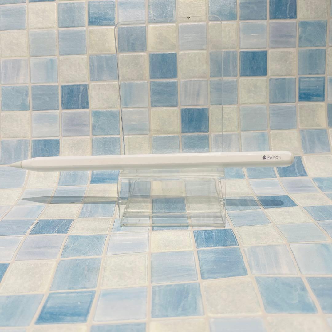 Wi-Fi iPad Pro 12.9 第5世代 本体 128GB グレイ