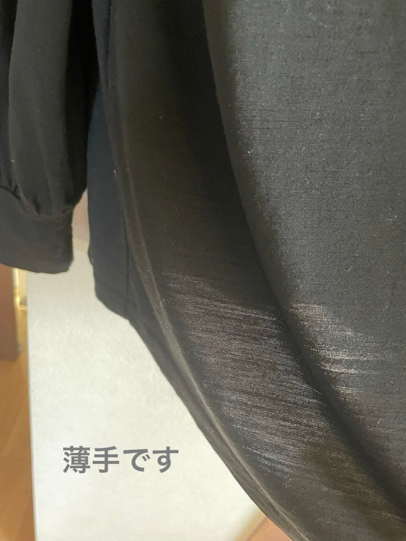 Leilian ハイネックカットソー