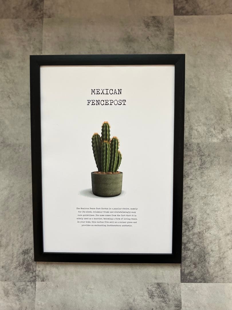 MACCHO †13† さん用　フレーム無しセット