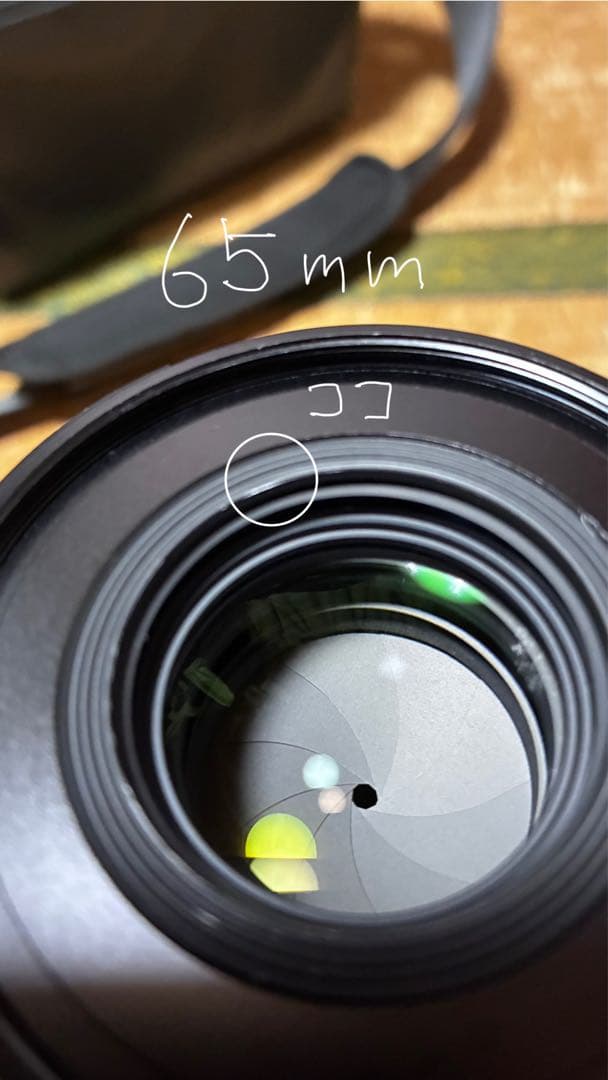 SIGMA fp レンズ2本　ケージセット